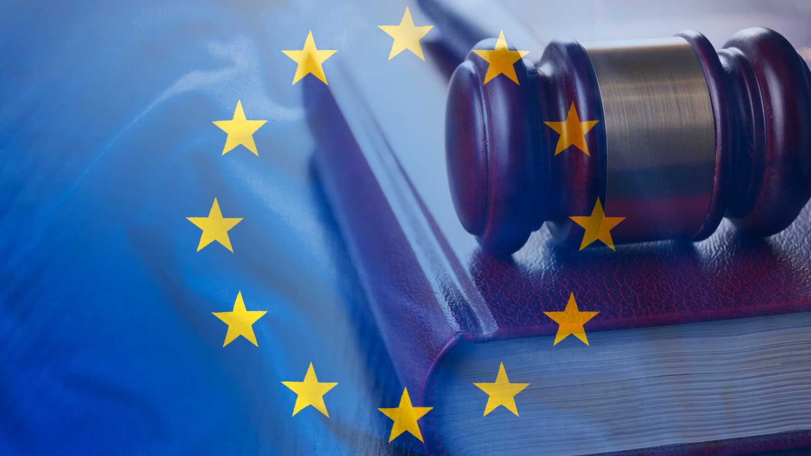 EU law concept
